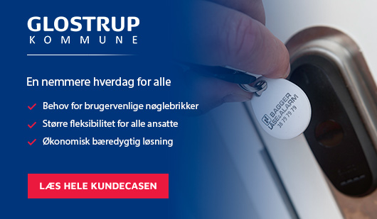 noeglebrikkerkundecase