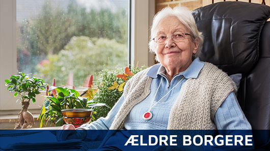 personligalarmtilaeldreellerdemente