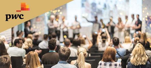 pwcaaretsejerleder2015