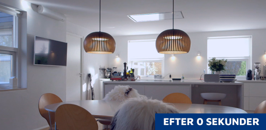 sikkerhedståge med røgkanon 0 sekunder