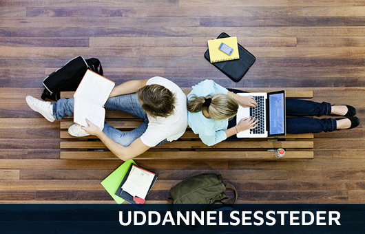 sikringafskoleroguddannelser