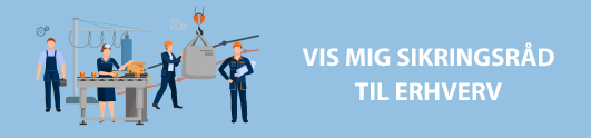 Sikringsråd til erhverv